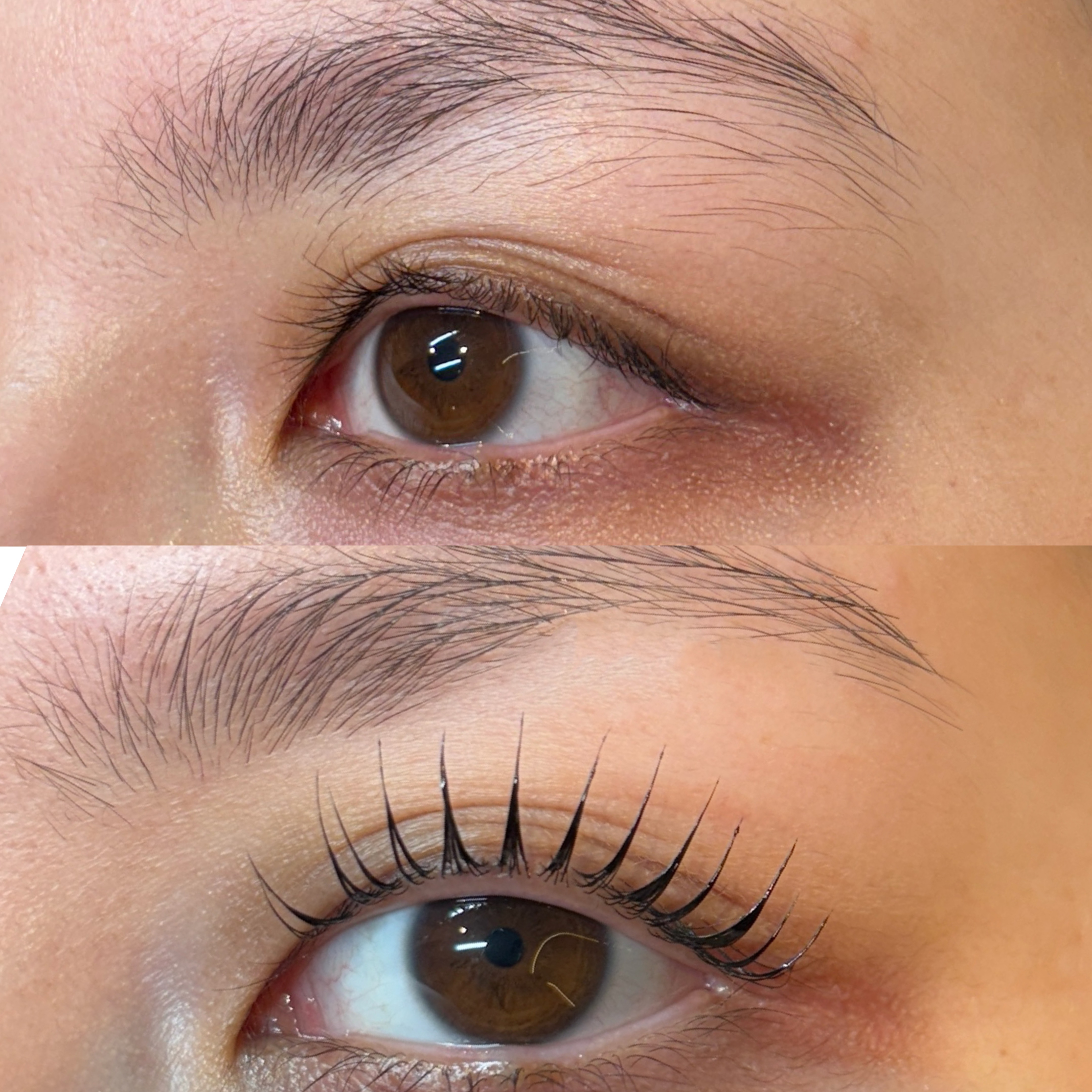 Lash lift transformation