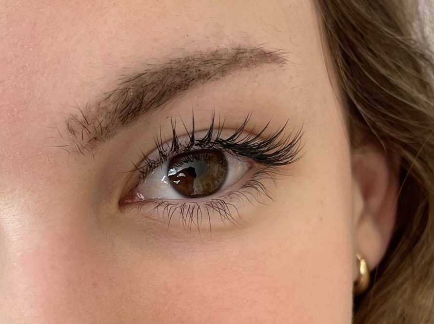 Natural lash extension close-up